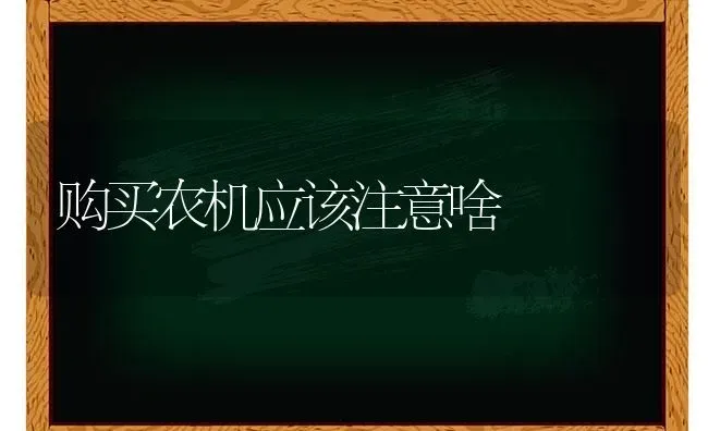 购买农机应该注意啥 | 养殖技术大全