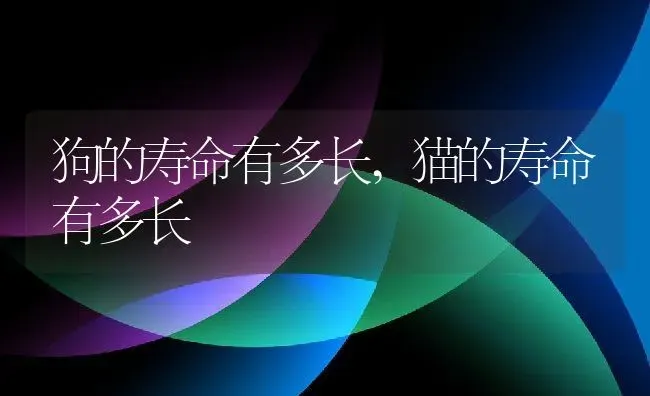 狗的寿命有多长,猫的寿命有多长 | 养殖资料
