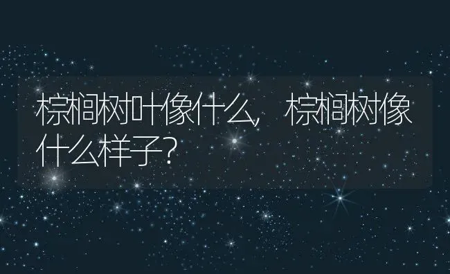 棕榈树叶像什么,棕榈树像什么样子？ | 养殖科普