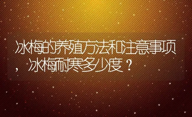 冰梅的养殖方法和注意事项,冰梅耐寒多少度？ | 养殖科普