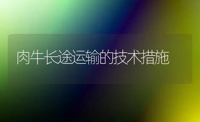 肉牛长途运输的技术措施 | 养殖知识