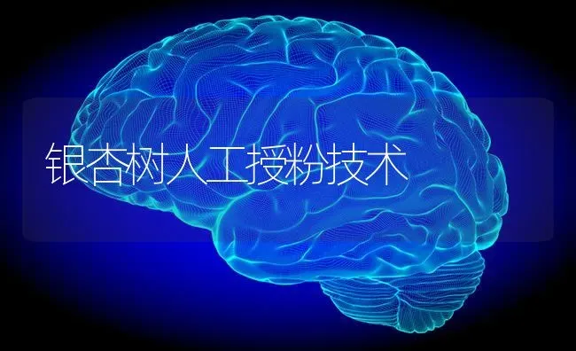 银杏树人工授粉技术 | 养殖技术大全