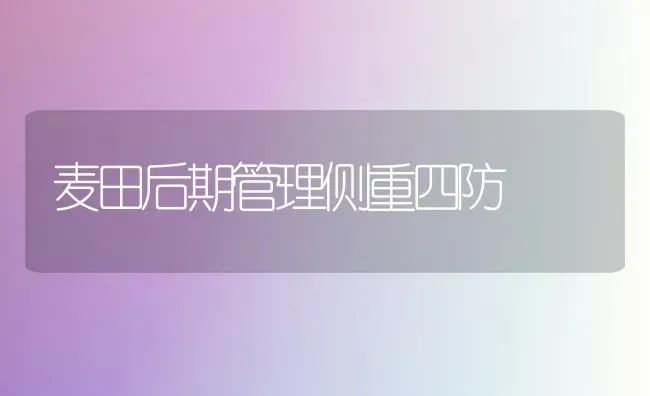 麦田后期管理侧重四防 | 养殖技术大全