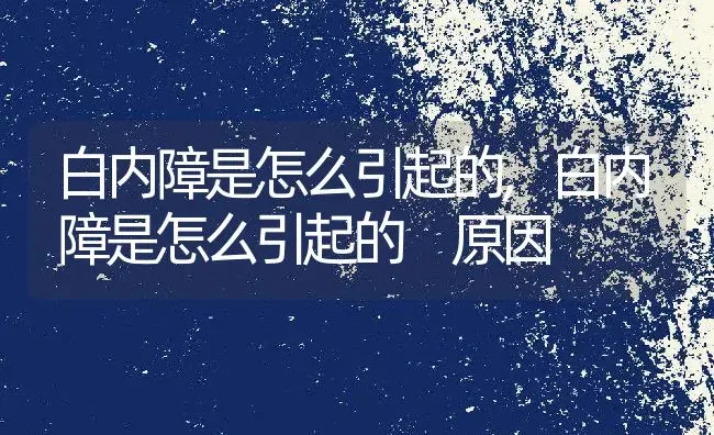 白内障是怎么引起的,白内障是怎么引起的 原因 | 养殖科普