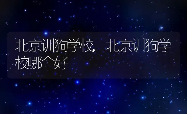 狗狗可以喝豆浆吗,狗狗可以喝豆浆吗比熊 | 养殖资料