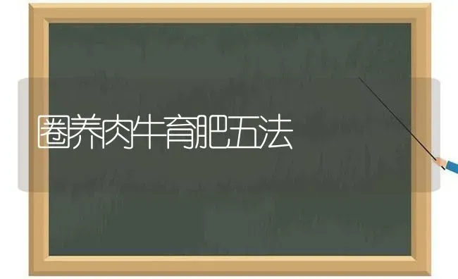 圈养肉牛育肥五法 | 养殖知识