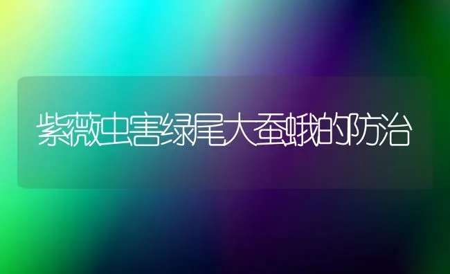 紫薇虫害绿尾大蚕蛾的防治 | 养殖技术大全