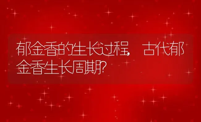 郁金香的生长过程,古代郁金香生长周期？ | 养殖科普