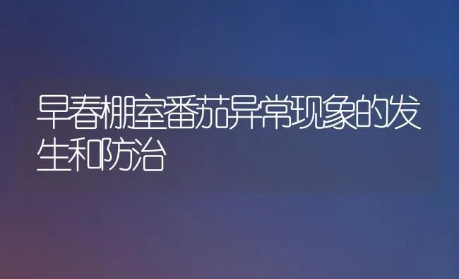 早春棚室番茄异常现象的发生和防治 | 养殖知识