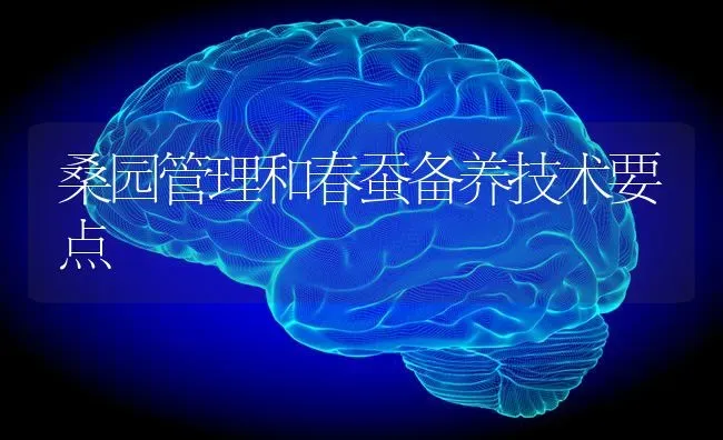 桑园管理和春蚕备养技术要点 | 养殖技术大全