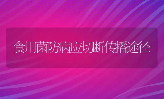 食用菌防病应切断传播途径 | 养殖知识