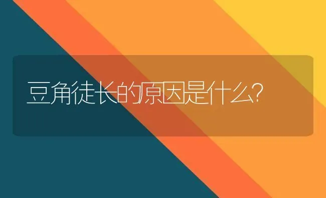 豆角徒长的原因是什么? | 养殖技术大全