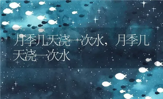 月季几天浇一次水,月季几天浇一次水 | 养殖科普