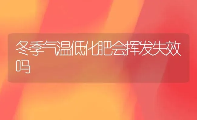 冬季气温低化肥会挥发失效吗 | 养殖技术大全