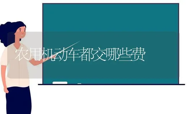农用机动车都交哪些费 | 养殖技术大全
