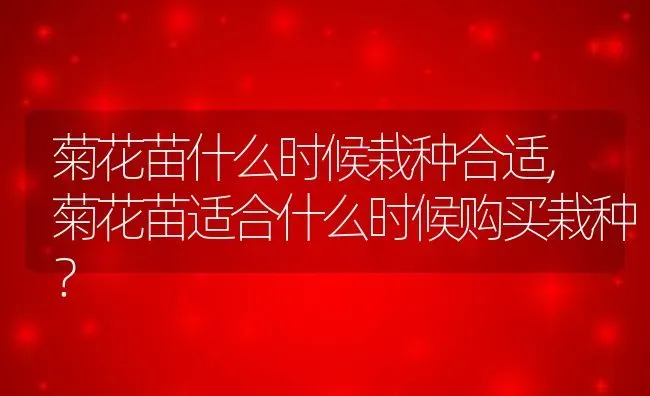 菊花苗什么时候栽种合适,菊花苗适合什么时候购买栽种？ | 养殖科普