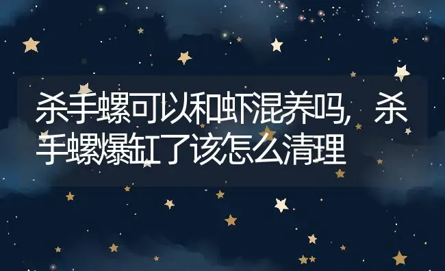 杀手螺可以和虾混养吗,杀手螺爆缸了该怎么清理 | 养殖学堂