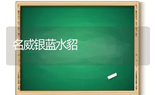 名威银蓝水貂 | 养殖技术大全