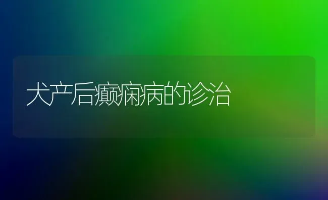 犬产后癫痫病的诊治 | 养殖技术大全