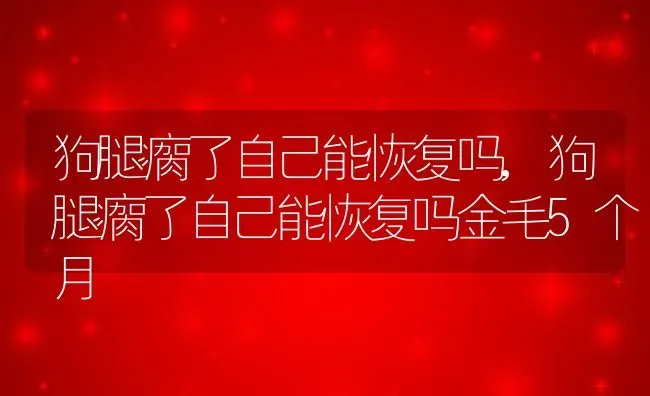 狗腿瘸了自己能恢复吗,狗腿瘸了自己能恢复吗金毛5个月 | 养殖资料