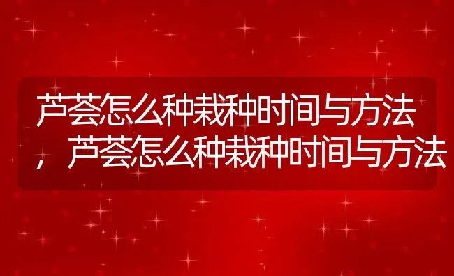 芦荟怎么种栽种时间与方法,芦荟怎么种栽种时间与方法 | 养殖科普