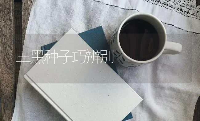 三黑种子巧辨别 | 养殖知识