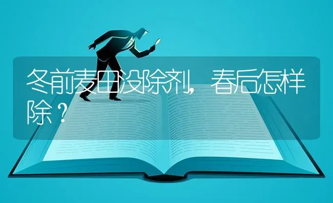 冬前麦田没除剂,春后怎样除? | 养殖技术大全