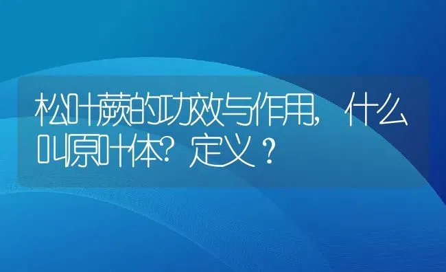 松叶蕨的功效与作用,什么叫原叶体?定义？ | 养殖科普