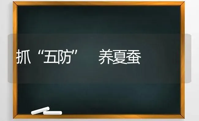 抓“五防” 养夏蚕 | 养殖技术大全