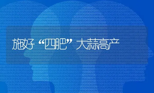 施好“四肥”大蒜高产 | 养殖知识