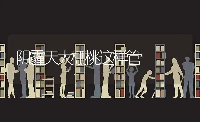 阴霾天大棚桃这样管 | 养殖技术大全