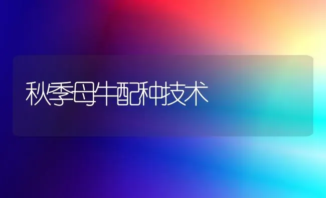 秋季母牛配种技术 | 养殖技术大全