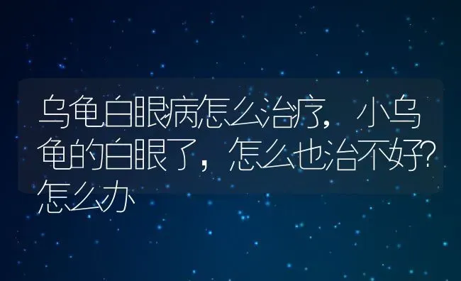 乌龟白眼病怎么治疗,小乌龟的白眼了，怎么也治不好？怎么办 | 养殖学堂