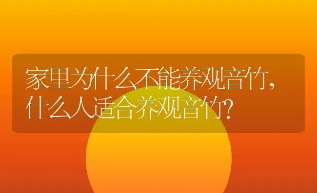 家里为什么不能养观音竹,什么人适合养观音竹？ | 养殖科普