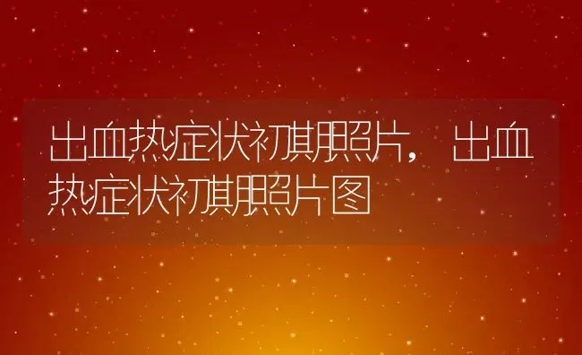 出血热症状初期照片,出血热症状初期照片图 | 养殖学堂