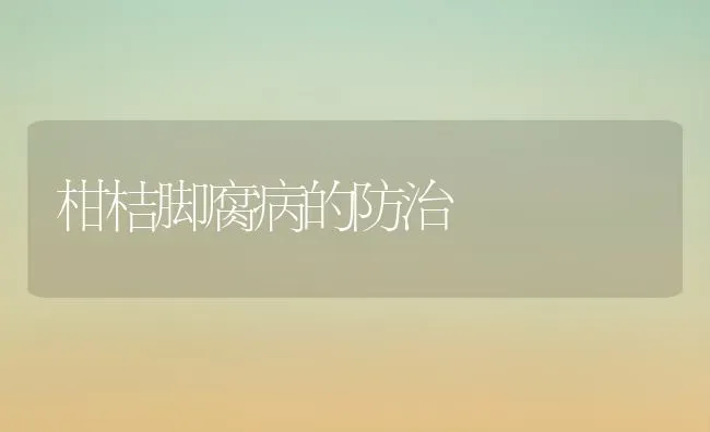 柑桔脚腐病的防治 | 养殖技术大全