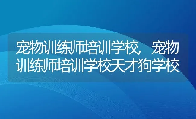 宠物训练师培训学校,宠物训练师培训学校天才狗学校 | 养殖科普