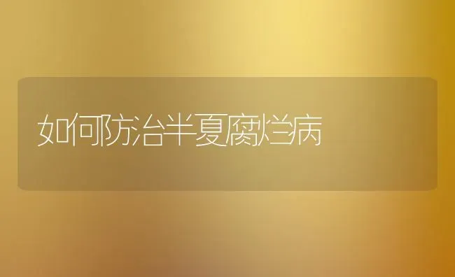 如何防治半夏腐烂病 | 养殖知识