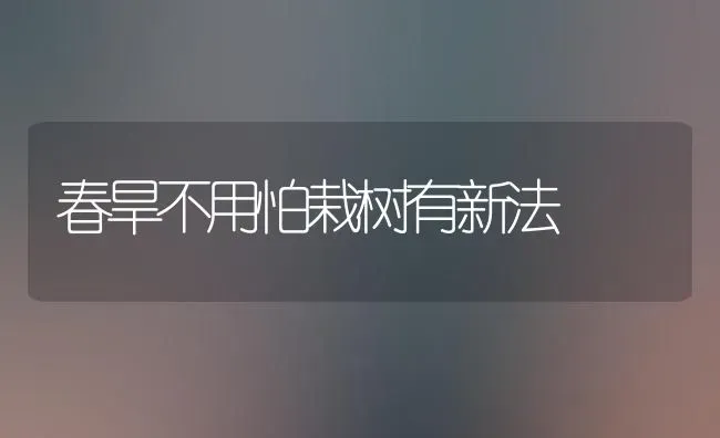 春旱不用怕栽树有新法 | 养殖知识