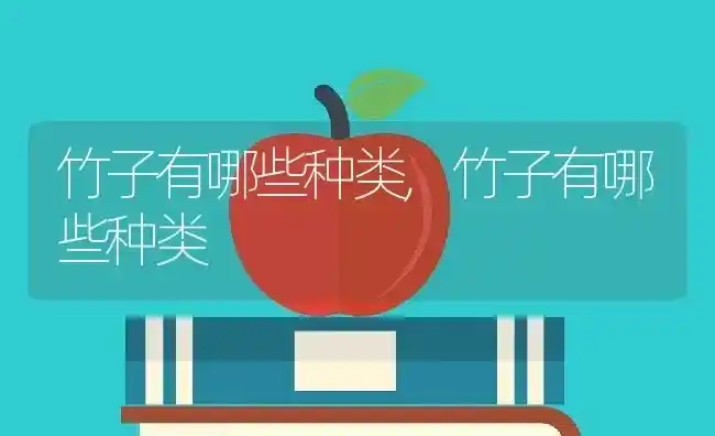 竹子有哪些种类,竹子有哪些种类 | 养殖科普