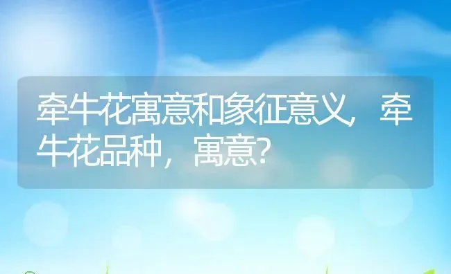 牵牛花寓意和象征意义,牵牛花品种，寓意？ | 养殖科普