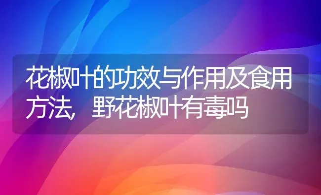花椒叶的功效与作用及食用方法,野花椒叶有毒吗 | 养殖学堂