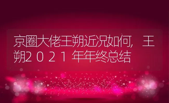 京圈大佬王朔近况如何,王朔2021年年终总结 | 养殖科普