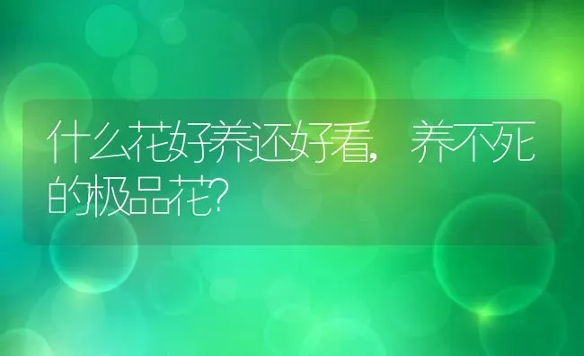 什么花好养还好看,养不死的极品花？ | 养殖科普