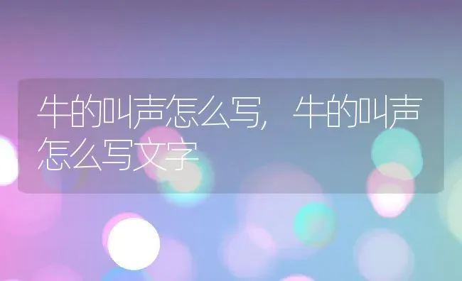 牛的叫声怎么写,牛的叫声怎么写文字 | 养殖资料