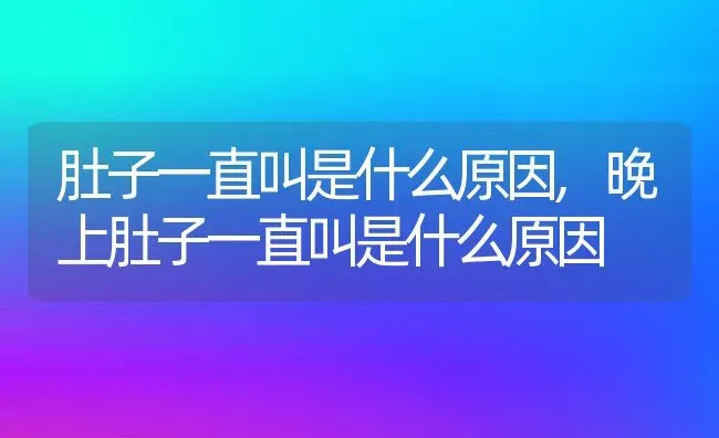 肚子一直叫是什么原因,晚上肚子一直叫是什么原因 | 养殖科普
