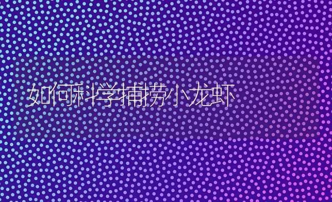 如何科学捕捞小龙虾 | 养殖技术大全