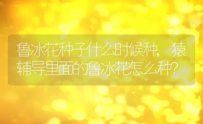 鲁冰花种子什么时候种,猿辅导里面的鲁冰花怎么种？ | 养殖学堂