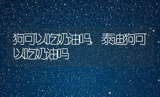 狗可以吃奶油吗,泰迪狗可以吃奶油吗 | 养殖科普
