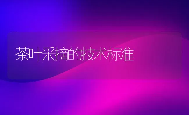 茶叶采摘的技术标准 | 养殖知识